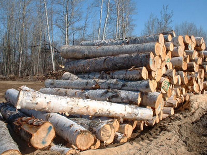 xưởng mộc