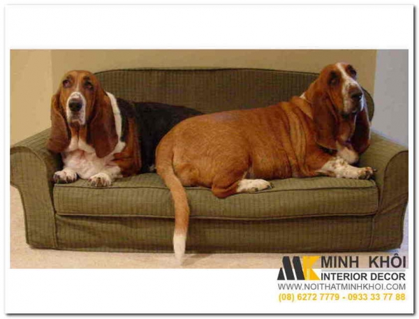 Ghế Sofa Nệm Đẹp Giá Rẻ Giảm Giá 30% - Giao Hàng Miễn Phi