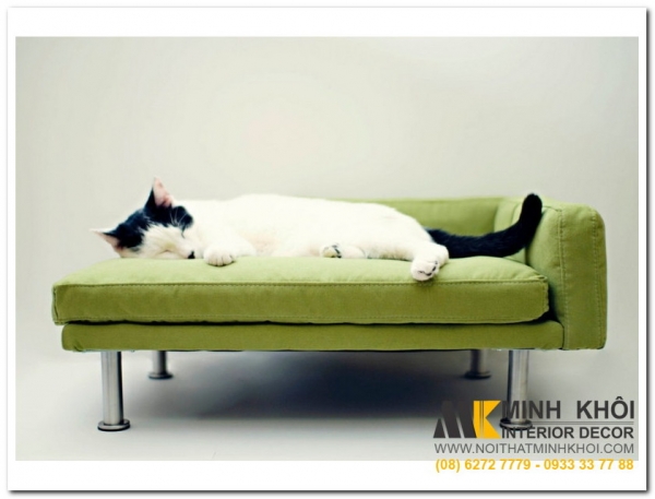 Sofa Bed Đẹp - 60 Mẫu