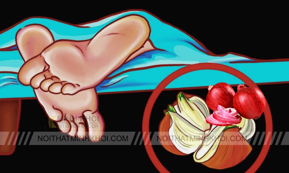Bạn cắt hành tây thành những lát mỏng hoặc chẻ làm 4 và đặt ở đầu giường