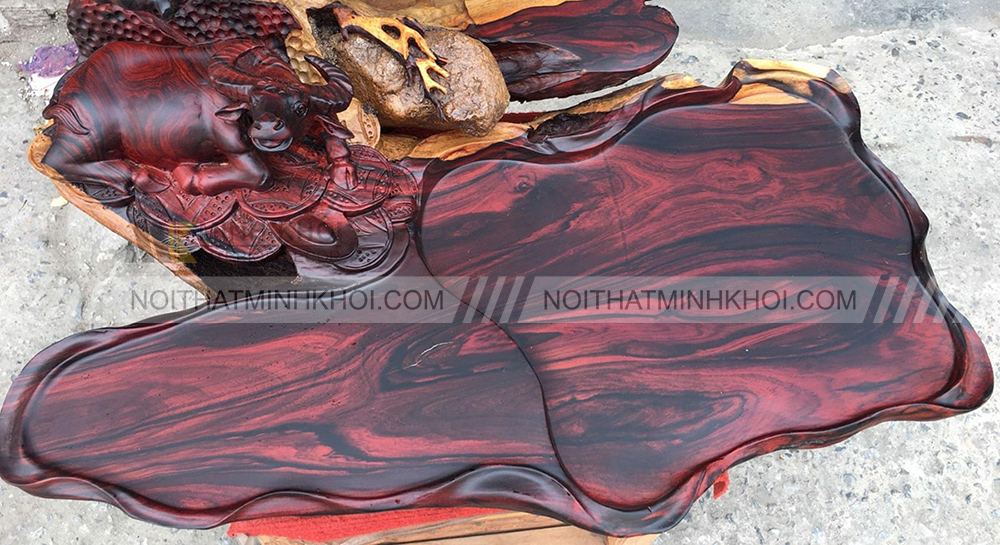 Các loại gỗ trắc phổ biến hiện nay