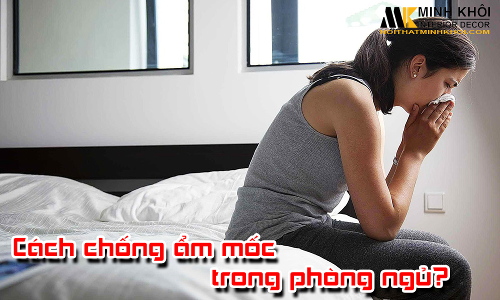 Cách Chống Ẩm Mốc Trong Phòng Ngủ Bạn Nên Biết?