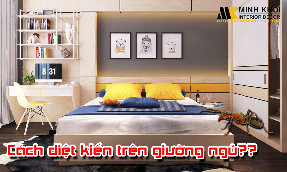 Cách Diệt Kiến Kim Trên Giường Hiệu Quả Tại Nhà