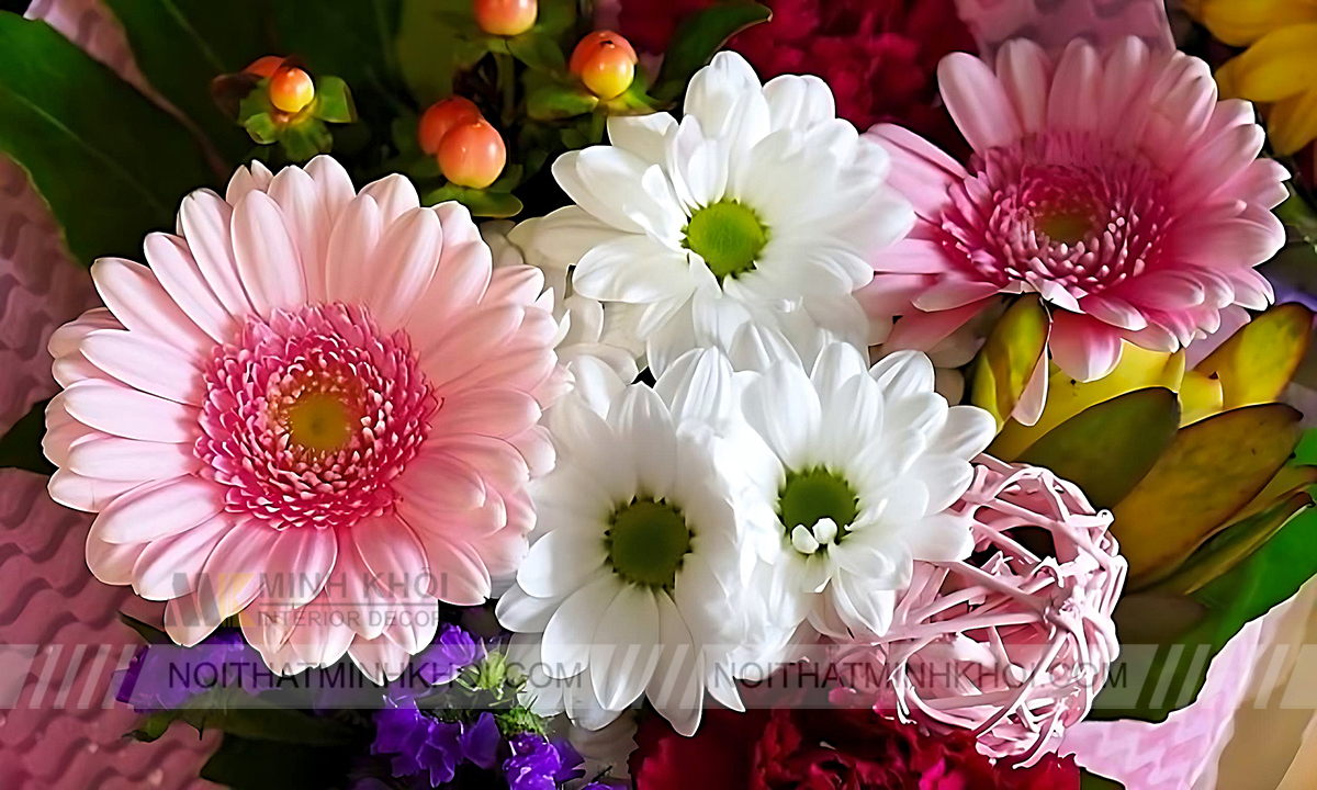 Cách Cắm Hoa Đồng Tiền Để Bàn Thờ Đẹp, Hút Tài Lộc?