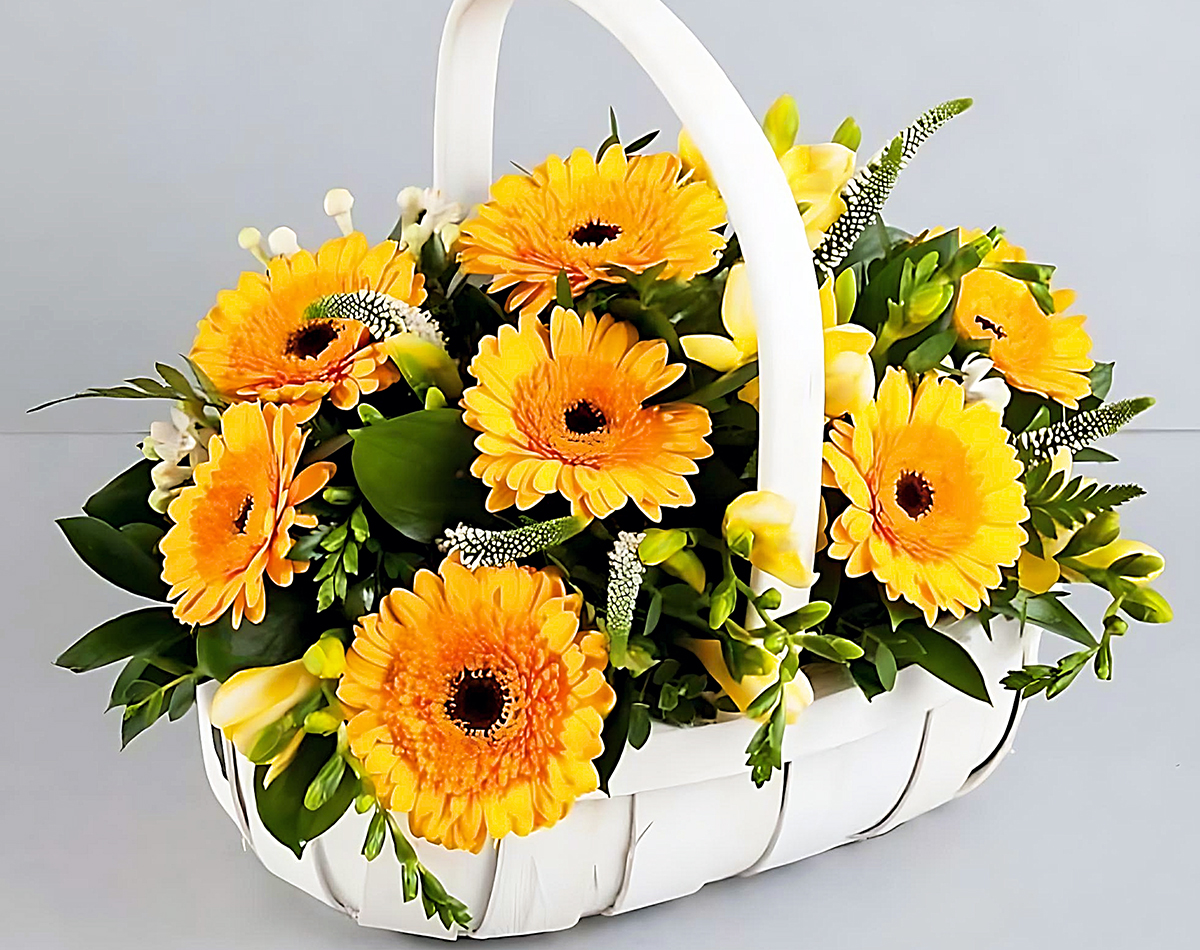 Cắm Hoa Đồng Tiền Để Bàn Thờ Đẹp lựa hoa đồng màu