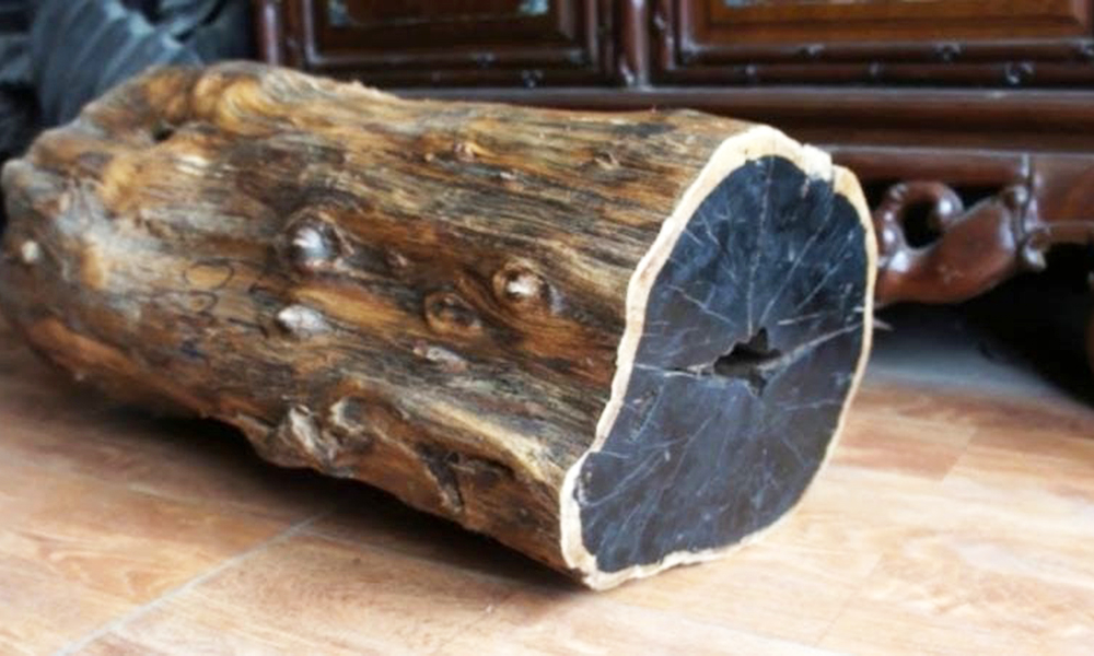 Chất liệu gỗ mun