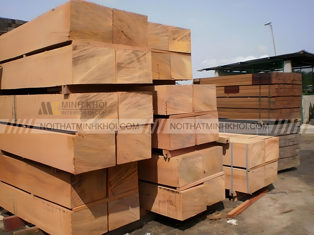 Đặc điểm của cây gỗ gõ đỏ