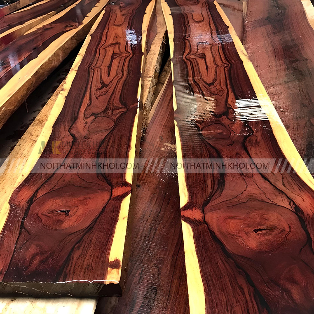 Đặc tính của cây gỗ Cẩm Lai