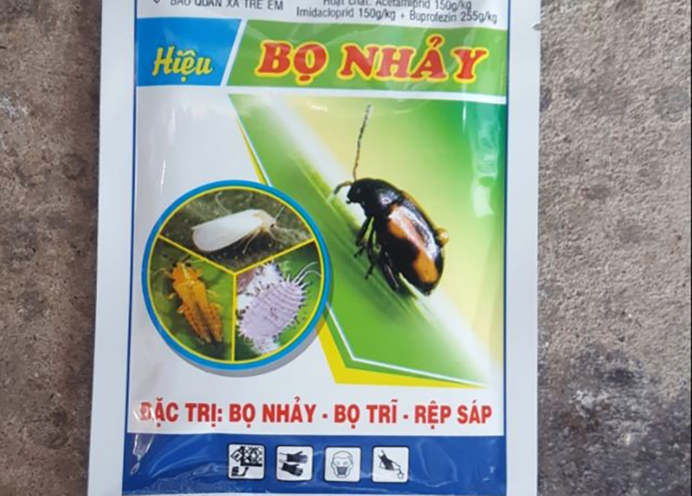 Dùng cây mần tưới, bã mía để diệt bọ nhảy trên giường