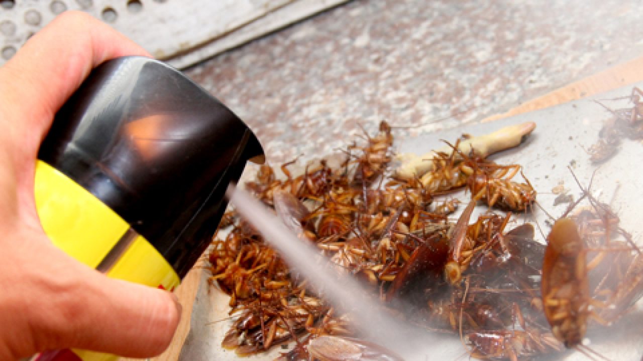 Sử dụng thuốc xịt là phương pháp nhanh chóng nhất