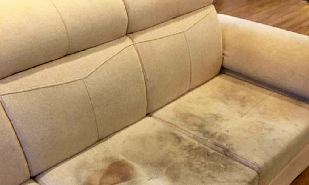 Ghế sofa bị ẩm mốc cần được vệ sinh 