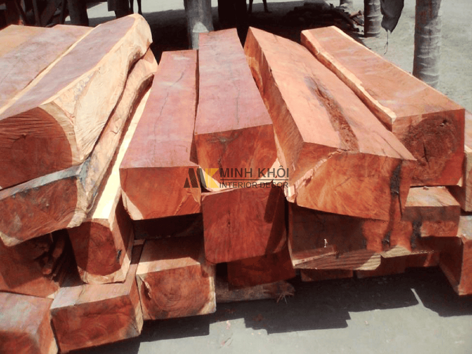 So sánh gỗ gõ đỏ và gỗ hương đá có ưu nhược điểm là gì?