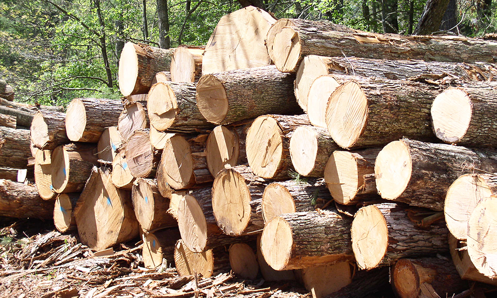 Gỗ Tự Nhiên được sử dụng trong chế tạo tủ quần áo