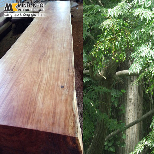 Tủ Quần Áo 3 Cánh 2 Hộc Kéo Gỗ Xoan Đào Tự Nhiên - TA674