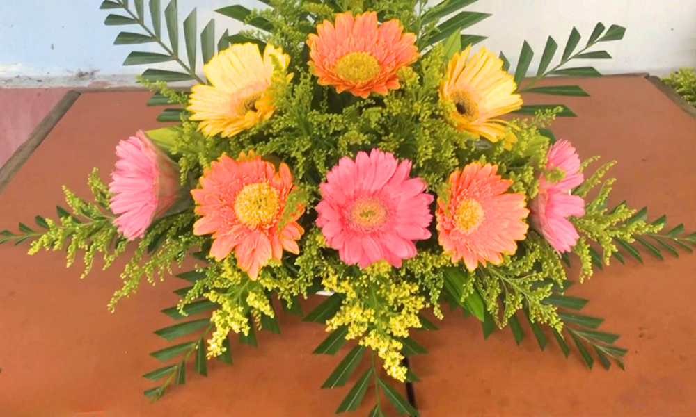 Hoa đồng tiền đặt bàn thờ