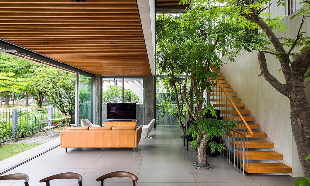 Mẫu thiết kế phòng khách đẹp kết hợp cây xanh