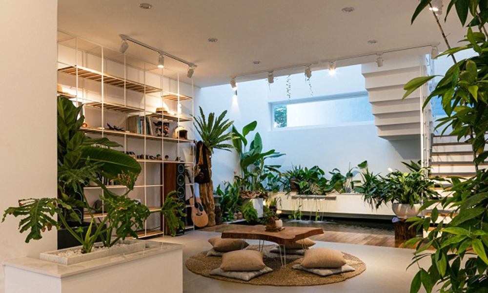 Mẫu thiết kế phòng khách đẹp kết hợp cây xanh