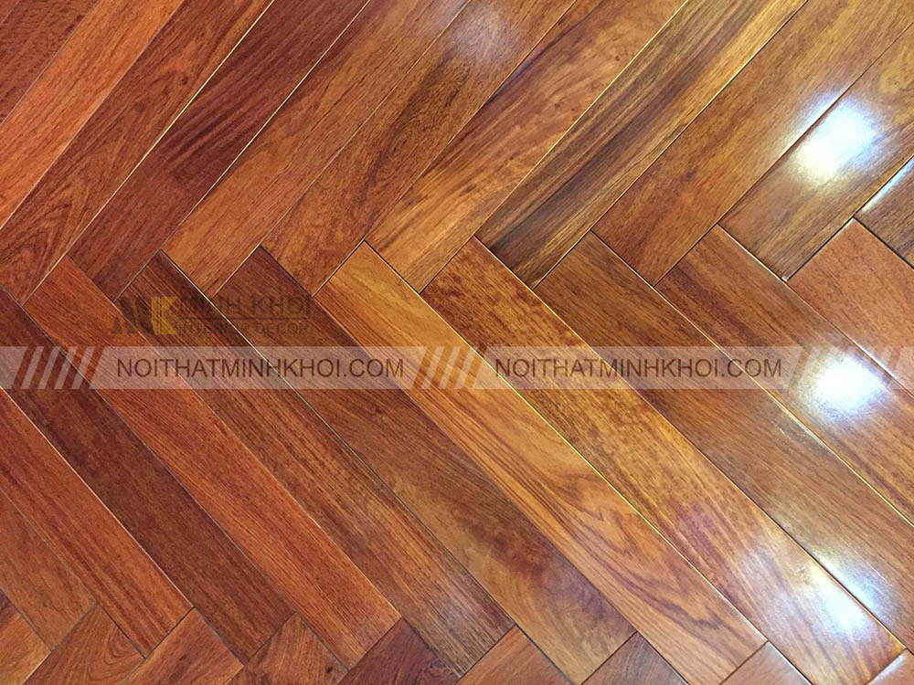 Phân loại gỗ căm xe