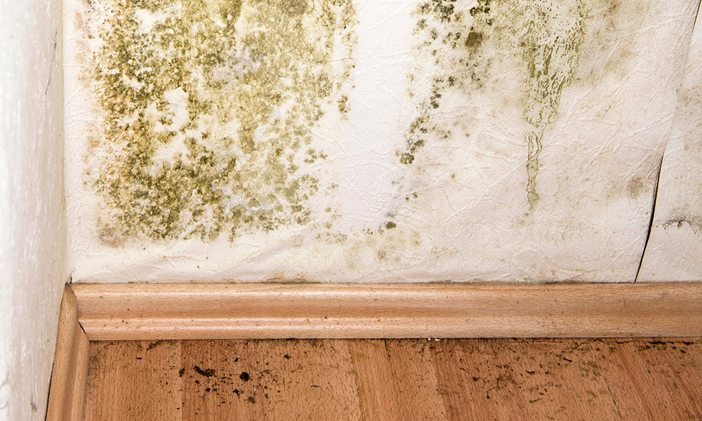 Sử dụng vật liệu chống ẩm trong xây dựng và trang trí