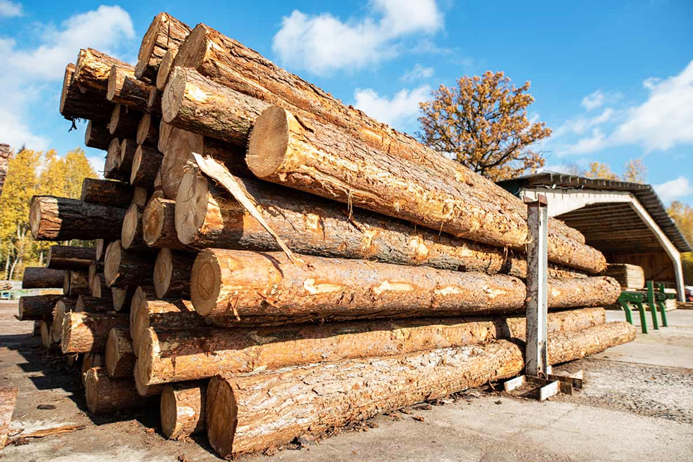 Thiết Kế Thi Công Nội Thất từ gỗ tự nhiên