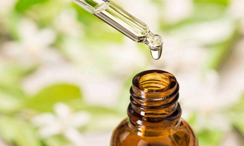 Tinh dầu cây trà giúp diệt rệp giường hiệu quả