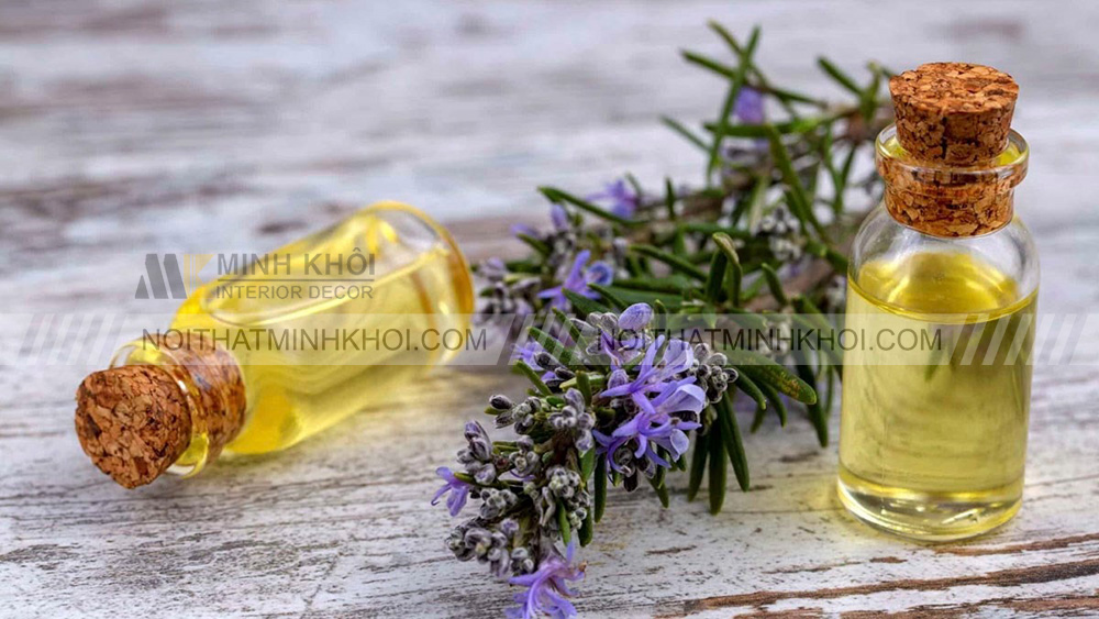 Ứng dụng phổ biến của gỗ cây hoàng đàn