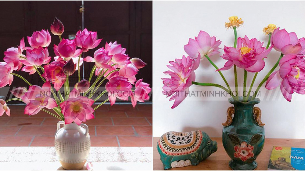 Ý nghĩa cắm hoa sen trên bàn thờ
